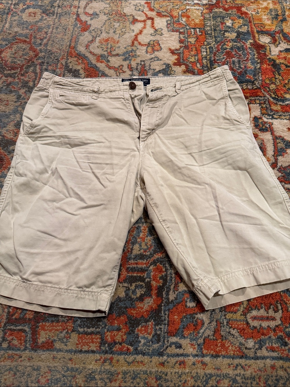 American Eagle Outfitters Men's Light Beige Flat Front Shorts